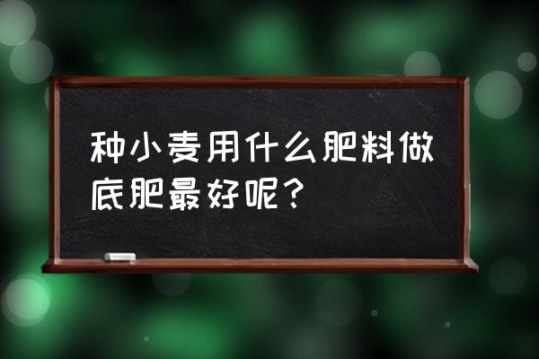 氮肥对小麦生长究竟有多重要 种小麦用什么肥料做底肥最好呢？