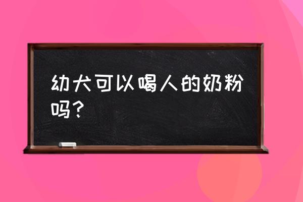 给小狗喝奶粉可以吗 幼犬可以喝人的奶粉吗？