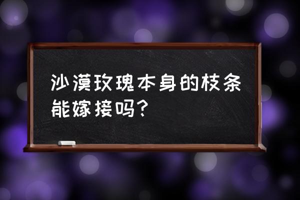 沙漠玫瑰如何嫁接重瓣 沙漠玫瑰本身的枝条能嫁接吗？