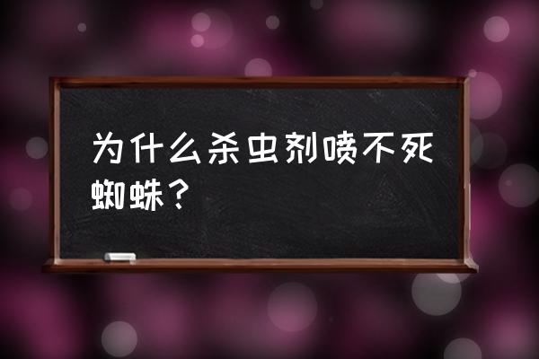 杀虫剂对大蜘蛛无效怎么办 为什么杀虫剂喷不死蜘蛛？