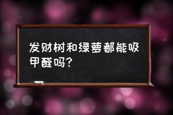 盆栽发财树净化空气吗 发财树和绿萝都能吸甲醛吗?