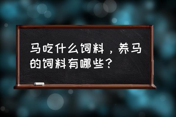 马精饲料有哪些 马吃什么饲料，养马的饲料有哪些？