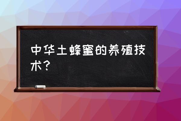 土蜜蜂养殖有什么技术吗 中华土蜂蜜的养殖技术？