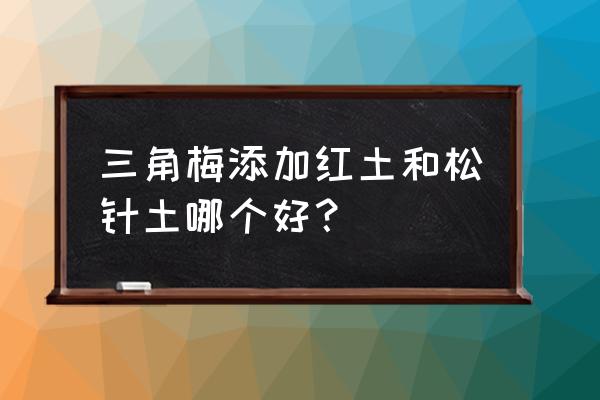 种三角梅用什么土好 三角梅添加红土和松针土哪个好？