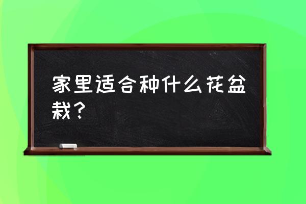 室内花盆栽种什么好 家里适合种什么花盆栽？