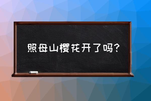 重庆照母山植物园现在花开了吗 照母山樱花开了吗？