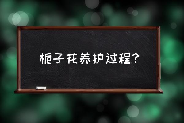 花卉栀子花怎样养护 栀子花养护过程？