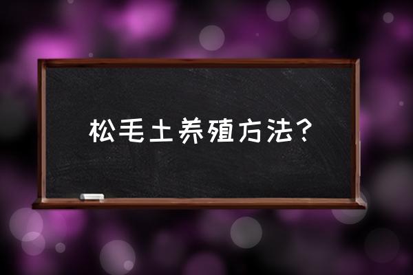 松针养花前怎样处理 松毛土养殖方法？