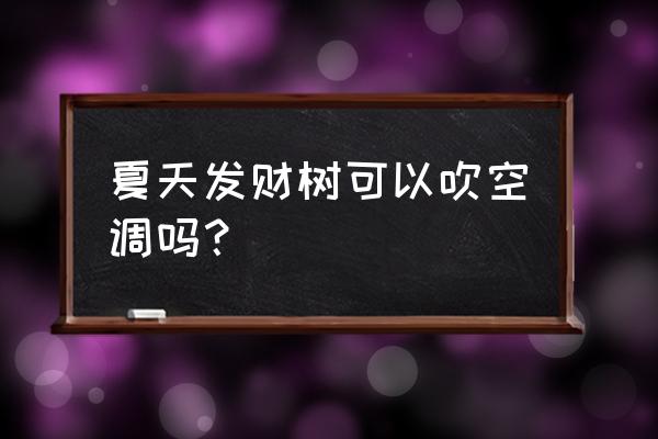 发财树放在空调下可以吗 夏天发财树可以吹空调吗？