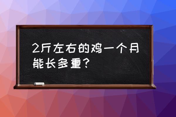 饲料鸡只吃粮食能长多重 2斤左右的鸡一个月能长多重？