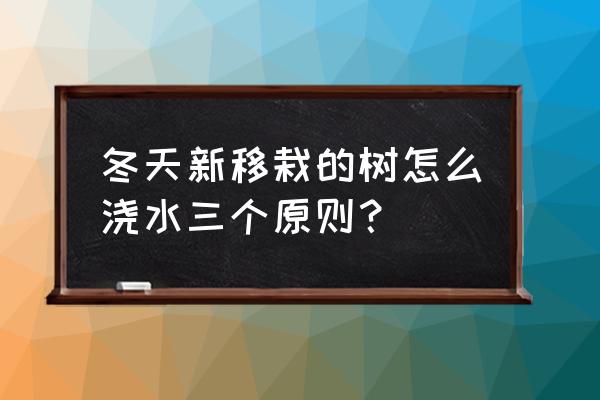 冬天盆栽果树怎么浇水 冬天新移栽的树怎么浇水三个原则？