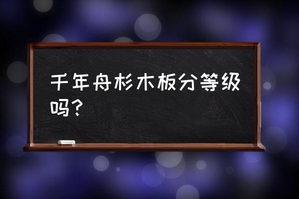 千年舟杉木板怎么辨别 千年舟杉木板分等级吗？