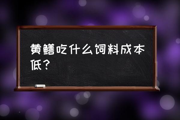 黄鳝养殖饲料好配吗 黄鳝吃什么饲料成本低？