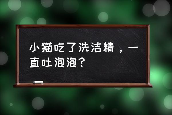 猫咪喝了洗衣液水怎么办 小猫吃了洗洁精，一直吐泡泡？