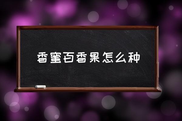 百香果树可以放水里种吗 香蜜百香果怎么种