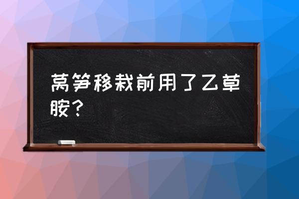 莴笋地里用什么除草剂 莴笋移栽前用了乙草胺？