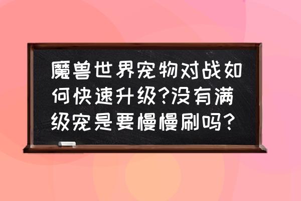 魔兽世界怎么让宠物战斗升级 魔兽世界宠物对战如何快速升级?没有满级宠是要慢慢刷吗？