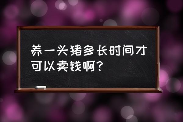 喂饲料的猪多久能卖 养一头猪多长时间才可以卖钱啊？