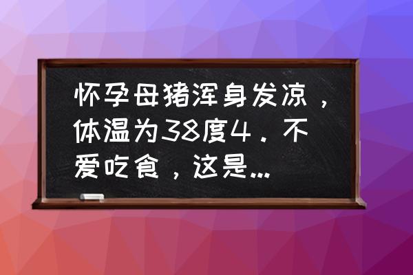 猪发烧身上凉是什么病 怀孕母猪浑身发凉，体温为38度4。不爱吃食，这是什么原因，应该怎么救治，已经一天多的时间？