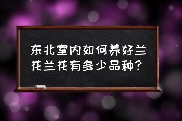 东北室内兰花怎么养 东北室内如何养好兰花兰花有多少品种？