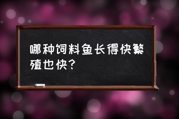 哪种饲料鱼繁殖快 哪种饲料鱼长得快繁殖也快？