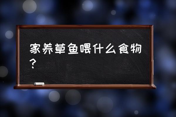 草鱼喂饲料什么时候 家养草鱼喂什么食物？