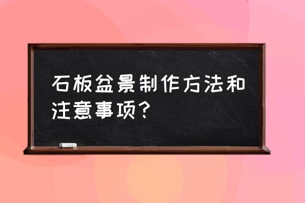 如何做石头盆景的方法 石板盆景制作方法和注意事项？