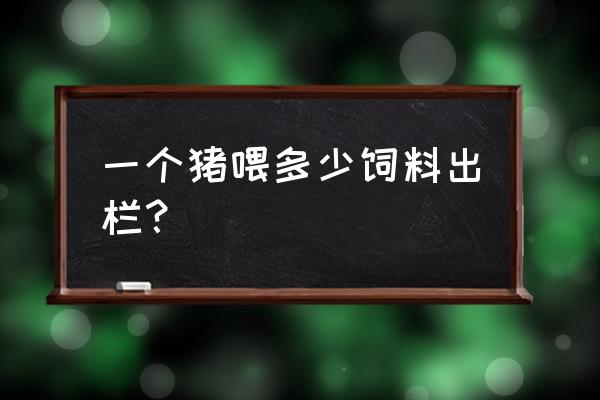 一只商品猪出栏的多少饲料 一个猪喂多少饲料出栏？