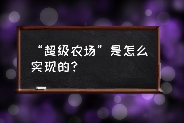 农场从种植到生长全程 “超级农场”是怎么实现的？