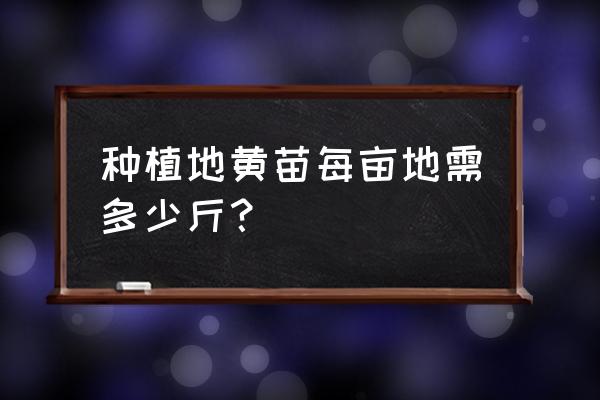 地黄种子多少钱一公斤 种植地黄苗每亩地需多少斤？