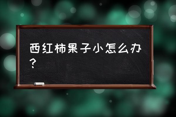 西红柿膨果最好的办法 西红柿果子小怎么办？