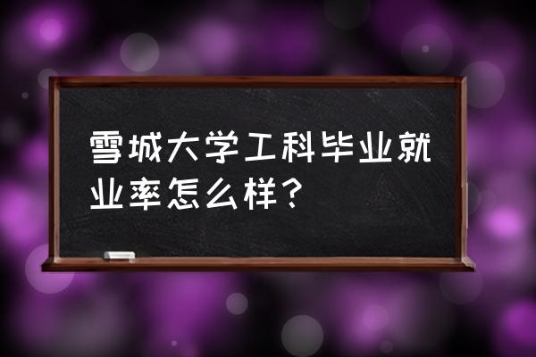 雪城大学新手教程 雪城大学工科毕业就业率怎么样？