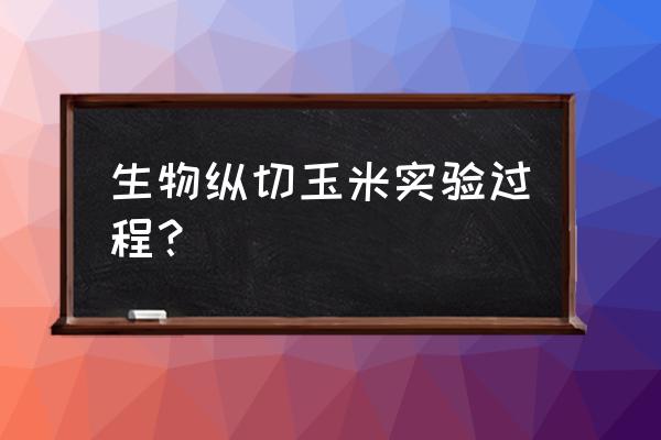 玉米咋切省事 生物纵切玉米实验过程？