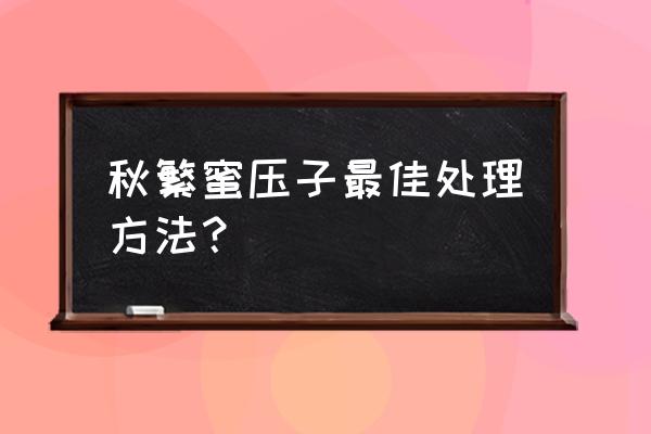 有什么办法收集工蜂 秋繁蜜压子最佳处理方法？