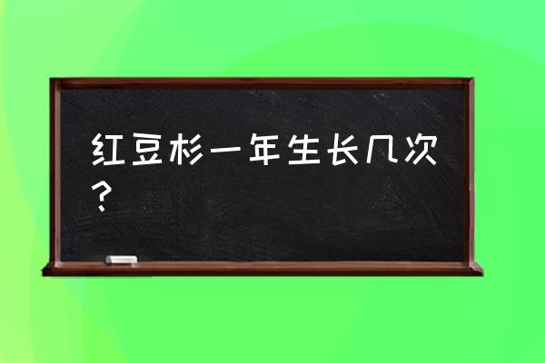 红豆杉十年大概长多高 红豆杉一年生长几次？