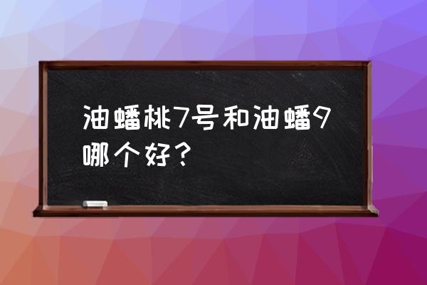 蟠桃为什么坐果率低 油蟠桃7号和油蟠9哪个好？