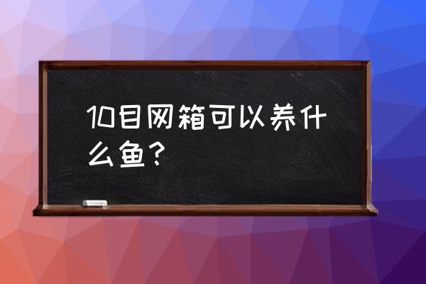 网箱养鱼的十大特征 10目网箱可以养什么鱼？