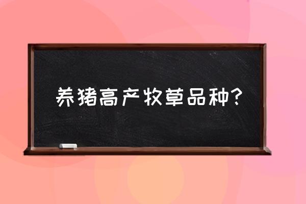 适合鸡鸭鹅吃的高产牧草有哪些种 养猪高产牧草品种？