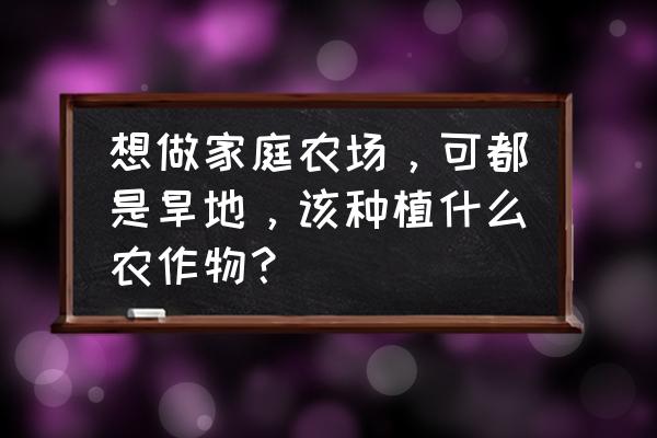 柴胡地膜打孔种植方法 想做家庭农场，可都是旱地，该种植什么农作物？