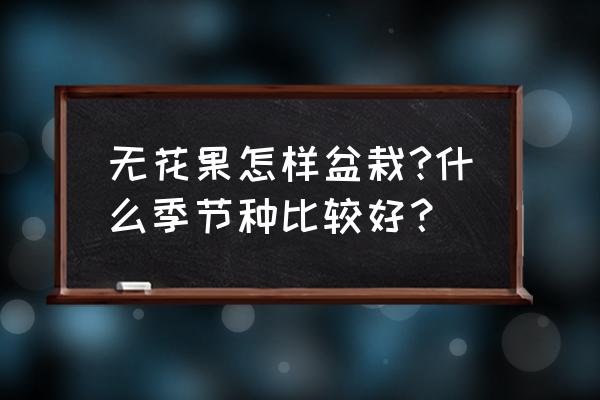 盆栽无花果怎么养才是最好的 无花果怎样盆栽?什么季节种比较好？