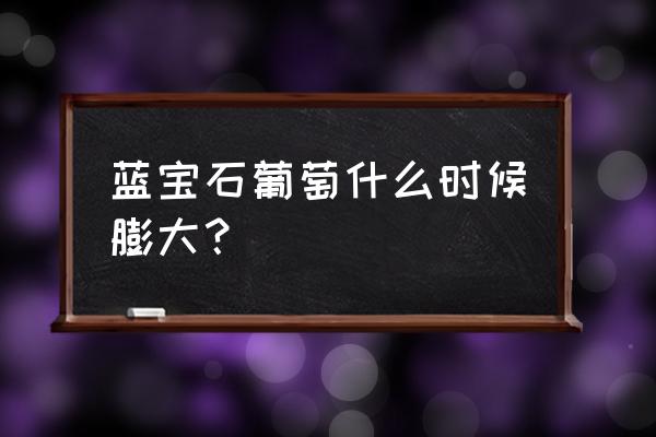 葡萄二次膨大施肥的最佳时间 蓝宝石葡萄什么时候膨大？