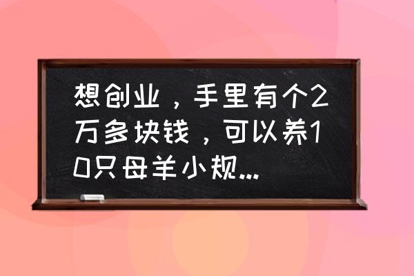 新手想卖羊肉怎么入行 想创业，手里有个2万多块钱，可以养10只母羊小规模养殖吗？