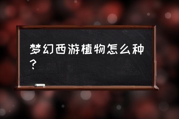 二年级植物种子的播种方法有哪些 梦幻西游植物怎么种？