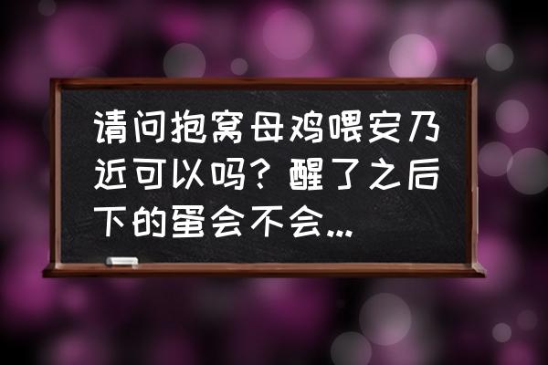 母鸡抱窝喂什么药醒窝 请问抱窝母鸡喂安乃近可以吗？醒了之后下的蛋会不会有药物残留？