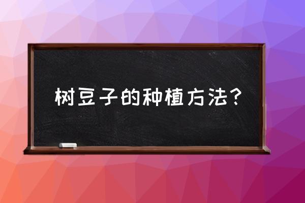 种植黄豆的五个步骤 树豆子的种植方法？