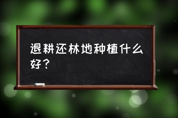 林下发展什么经济最简单 退耕还林地种植什么好？