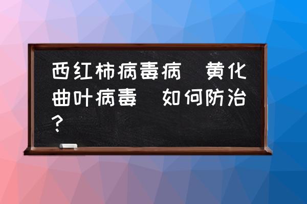 云纹黄瓜卷怎么做 西红柿病毒病（黄化曲叶病毒）如何防治？