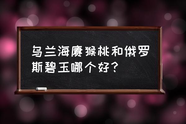 碧玉猕猴桃手镯的优缺点 乌兰海猕猴桃和俄罗斯碧玉哪个好？