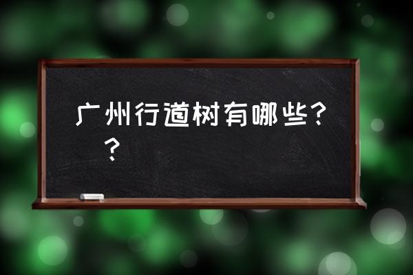 小叶羊蹄甲养殖方法和注意事项 广州行道树有哪些?_？