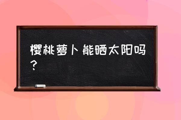 阳台种樱桃萝卜的种植方法 樱桃萝卜能晒太阳吗？